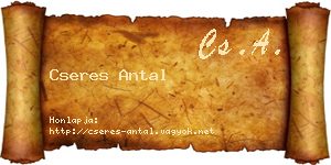 Cseres Antal névjegykártya