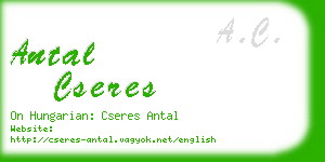 antal cseres business card